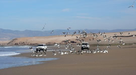 raid maroc, raid 4x4, raid d�sert maroc, rallye raid, voyage 4x4 maroc, conduite 4x4 d�sert, aventure 4x4