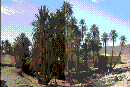 Raids Maroc; Circuit Maroc ; Raid Maroc ; raid 4x4 ; raids 4x4 ; Raids aventure 4x4; conduite dans les dunes ; pilotage rallys raids ; voyage 4x4