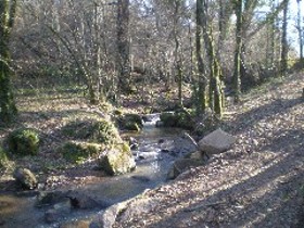 ruisseau du site 3214x4 ou se d�roule les stages 4x4