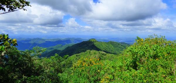 Raid 4x4 Raids 4x4 Stage 4x4 Galerie Galerie raid 4x4 Costa Rica 6