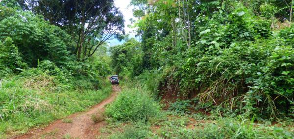 Raid 4x4 Raids 4x4 Stage 4x4 Galerie Galerie raid 4x4 Costa Rica 23