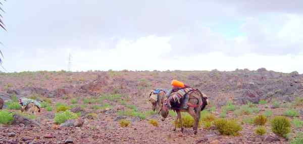 Raid 4x4 Maroc Trois 2 Un 4x4 Galerie Galerie photo raids 4x4 aventure 28