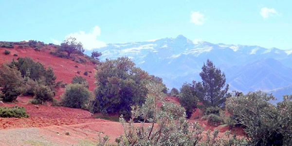 Séminaire 4x4 au Maroc