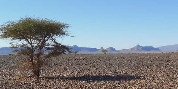 Séminaire 4x4 au Maroc