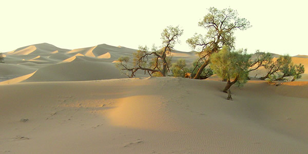 Séminaire 4x4 au Maroc